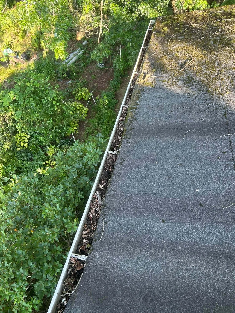 Gutter edge with accumulated organic debris and overgrown vegetation, before service