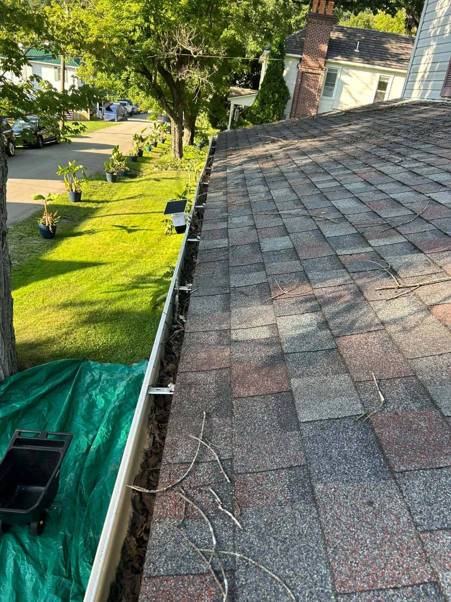 View from a residential rooftop looking down at a leafy Greenville neighborhood street